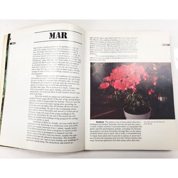 Crockett's Victory Garden by James Underwood Crockett ©1977 PBS Show B203 - Picture 7 of 8